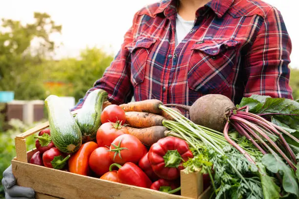 Fruits & Vegetables